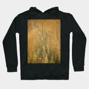 Common Wheat Hoodie